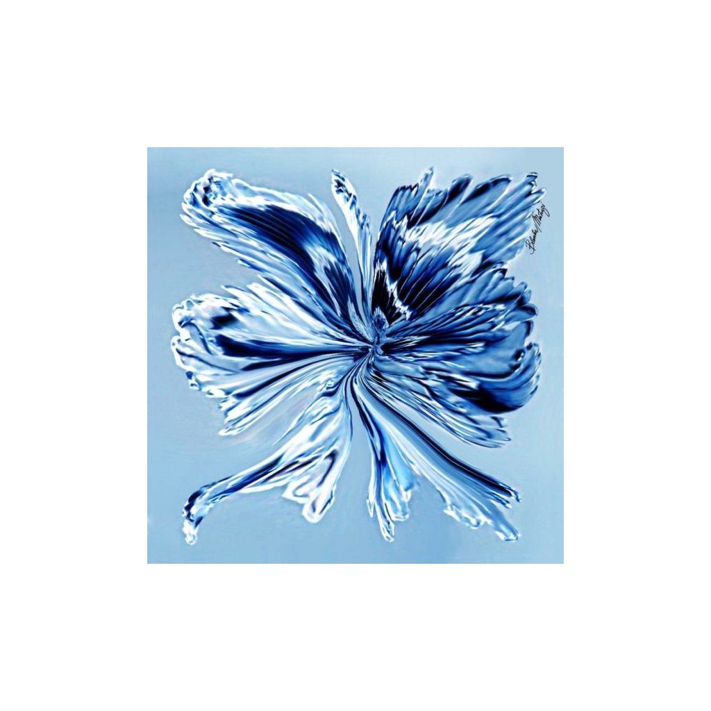 Butterfly blue small scarf blanka matragi