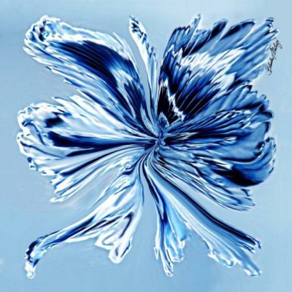 Butterfly blue small scarf