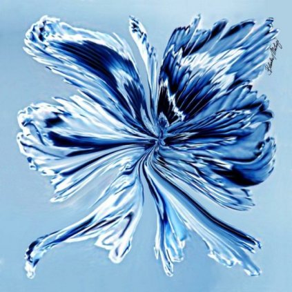 Butterfly modrý velký šátek