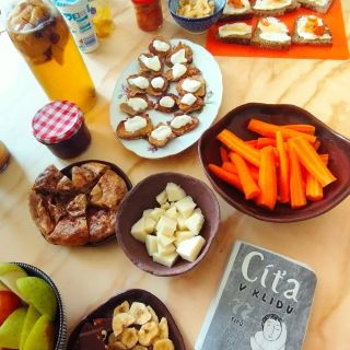 S jarem chystám konečně novou knížku. Bude to taková mini Cíťa. Poloviční velikost a spousta obrázků a tipů jak se...