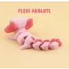 axolotl2 2