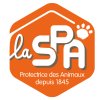 logo peluche spa 66d5b8286814e009085468