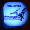 prehistoric land projector torch 28517 lifestyle 1