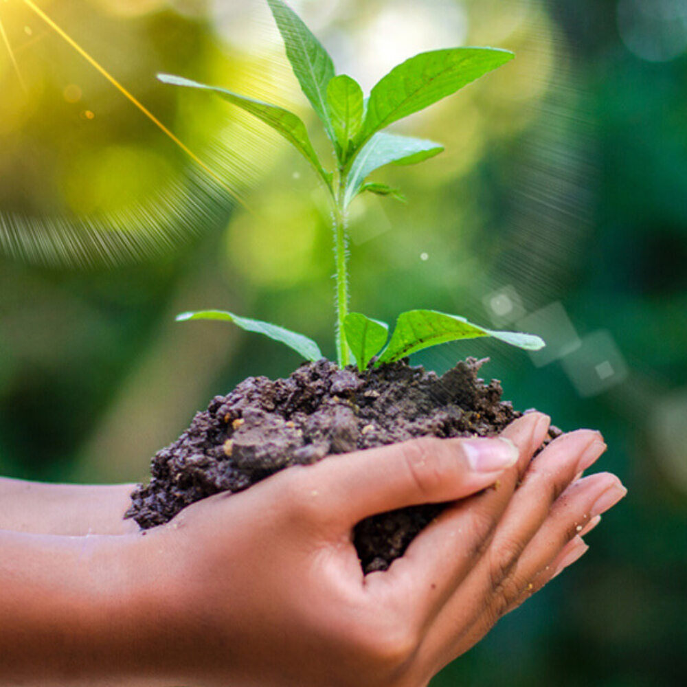 Spouštíme Aktuality Blendea 🌿 Nahlédněte do zákulisí značky