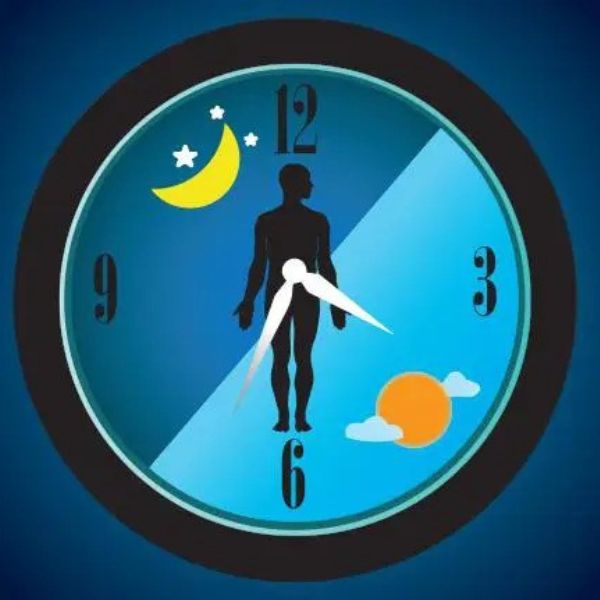 Cirkadiánní rytmus jsou vaše biologické hodiny, které vše řídí. Jak zajistit, aby tikaly správně? ⏱️