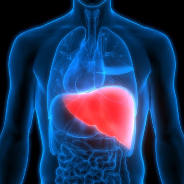 Detoxikace jater: Odděluji fakta od mýtů. Co dělat, co nepomáhá a co je nemožné?