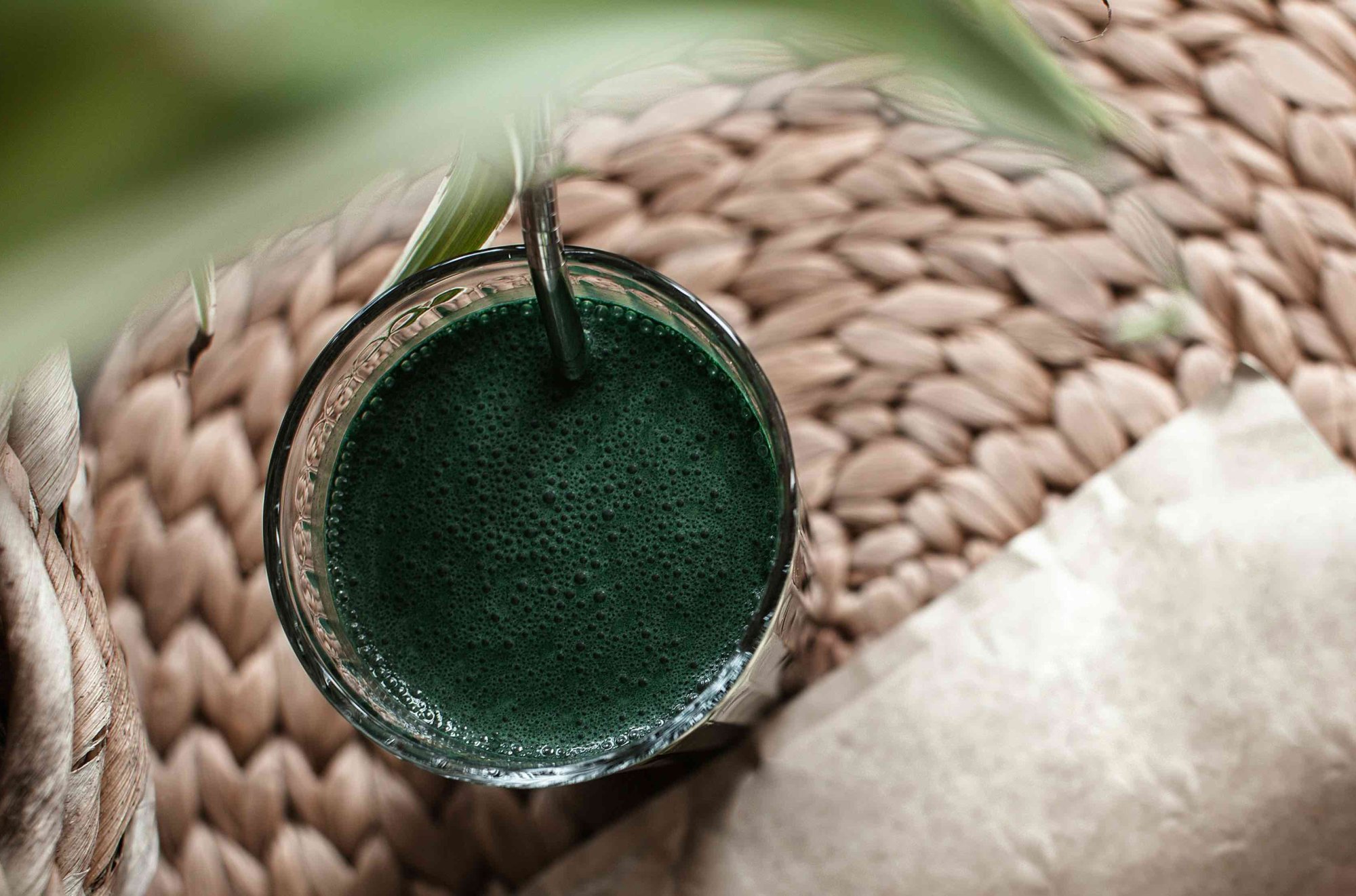 Detoxikace orgánů s prvotřídní BIO chlorellou