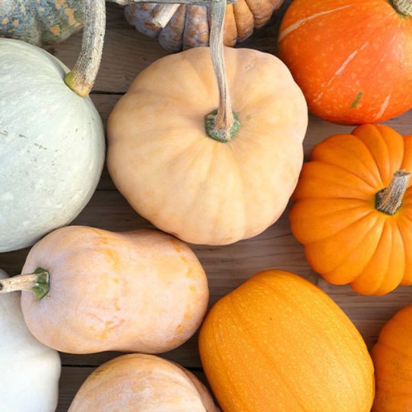 Dýně - účinky, rizika a kompletní nutriční profil