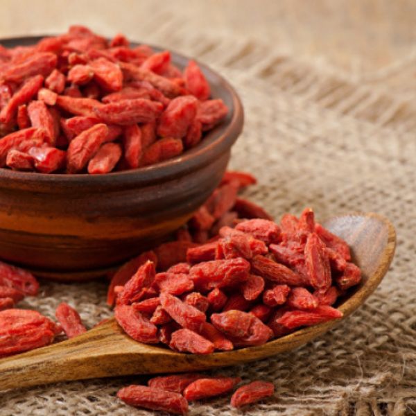Kustovnice čínská - účinky, rizika a kompletní nutriční profil