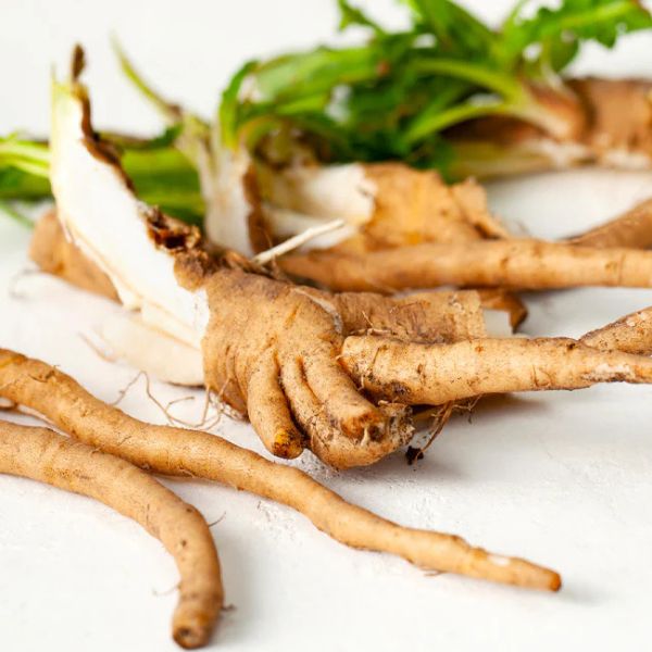 Inulín - dostupné zdroje, správné dávkování a významné účinky na vaše zdraví