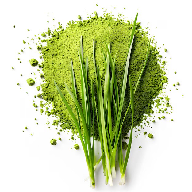 Mladá pšenice a nežádoucí účinky. Bát se?