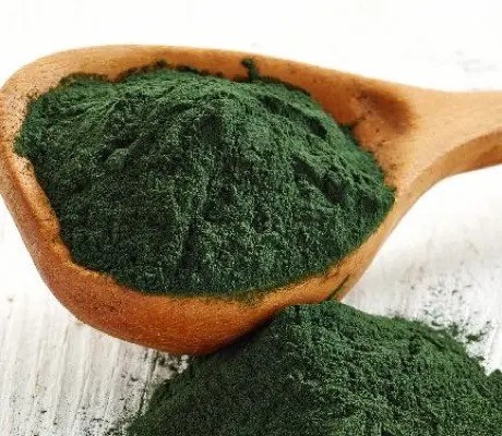 Spirulina na hubnutí působí velice intenzivně, potvrzují vědci