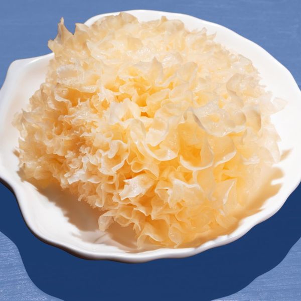 Rosolovka řasotvará (Tremella fuciformis) - účinky, rizika a kompletní nutriční profil
