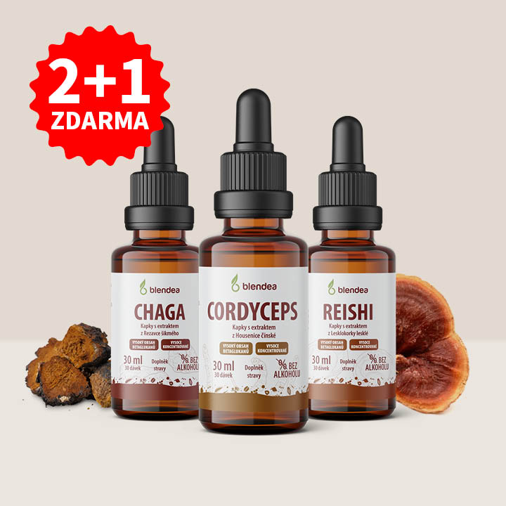 Adaptogenní houby 2+1 zdarma