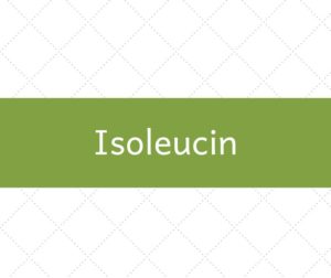 isoleucin_aminokyselina