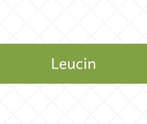 leucin_aminokyselina