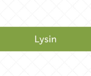 lysin_aminokyselina