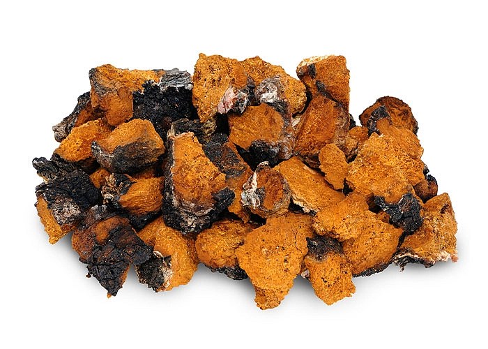 BIO Chaga