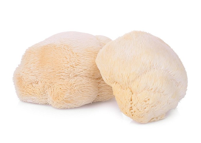 BIO Hericium