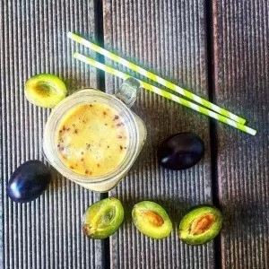 svestkove_smoothie