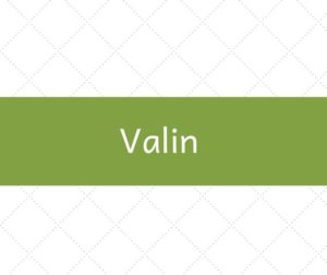 valin_aminokyselina