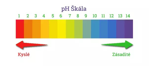 zeleny_jecmen_a_prekyseleni_organismu