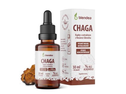 chaga kapky blendea
