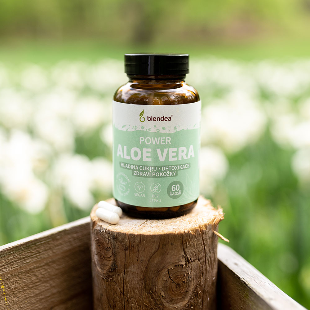 Aloe vera 60 kapslí