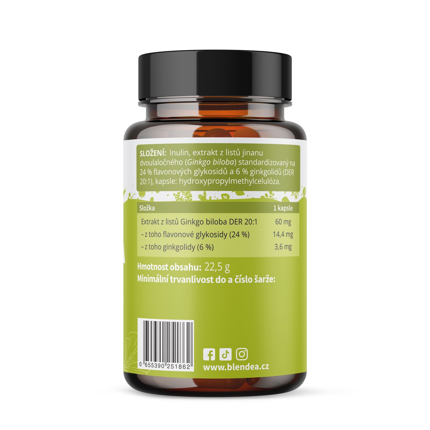 Ginkgo biloba 60 kapslí