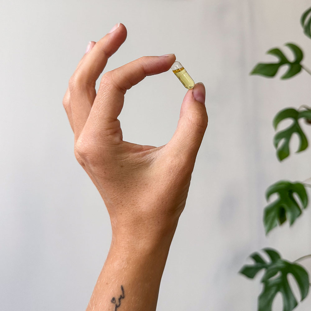 Vegan Omega 3 z mikrořas 60 kapslí