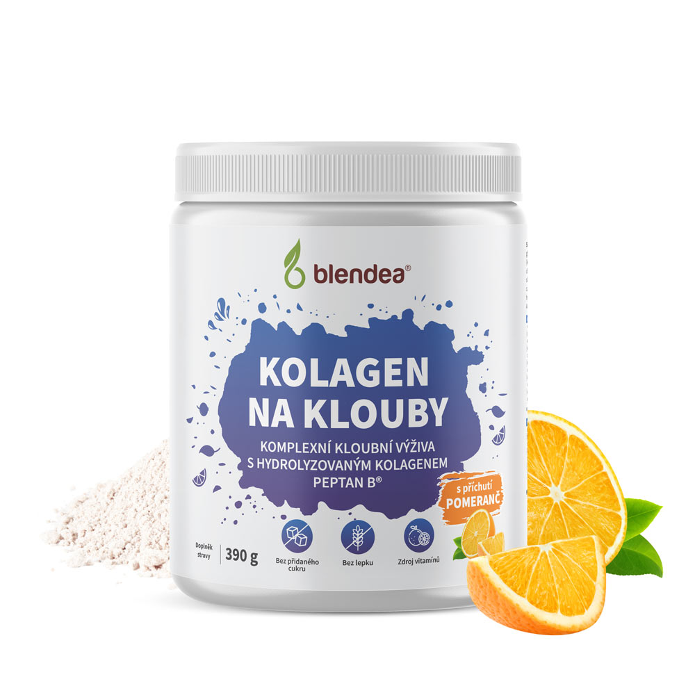 Kolagen na klouby 390 g