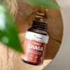 Chaga extrakt 60 kapslí