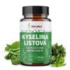 kyselina listova blendea
