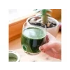supergreens priprava