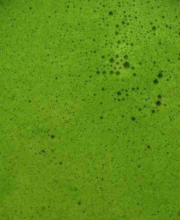 Zelené superpotraviny