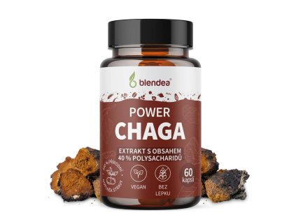 Chaga extrakt 60 kapsúl