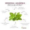 medovka lekarska ucinky blendea