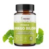 Ginkgo biloba 60 kapsúl