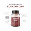 koenzym q10 ucinky