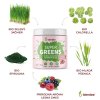 blendea supergreens lesna zmes zlozenie