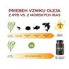 vyroba omega 3 oleja