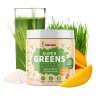 blendea supergreens probio mango