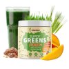 blendea supergreens fiber mango 90g