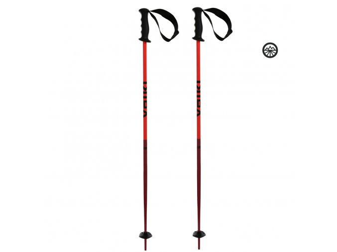 Hole Völkl Speedstick JR red poles 100cm