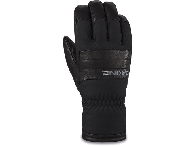 Dakine Baron GoreTex glove front