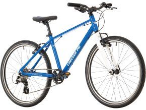 Checker pig Little pig lite 24 2