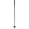 Hole Völkl Speedstick black 115cm