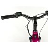 Městské elektrokolo LEADER FOX 28" NEBA CITY VIOLET SHINY M420 NEXUS 2025