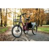 Tříkolka LEADER FOX CARGO - TRICYCLE CURTIS, FRONT MOTOR, VIOLET SHINY