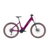 Elektrokolo LEVIT RIVERO low merlot 20Ah/725Wh